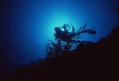 �����Ľ�ѵ���ڰ���Σ�յ�ˮ��