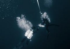 �����Ľ�ѵ������ˮ��