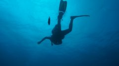 <b>��Ǳһ���ӵ�ˮ������ר�ҽ���</b>