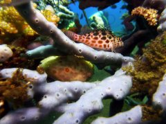 ˮ����Ӱ΢������23��