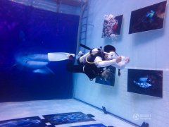 ˮ����Ӱ������չ Ǳ��ˮ�п���Ƭ