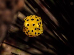 ˮ����Ӱ΢������5��