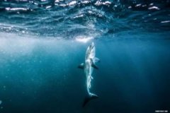 ɳ�����Ǩ�㣭��Ұ�Ϸ�