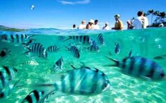 쳼èC����Ѥ��ˮ������