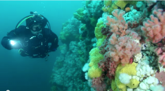 ���ô�Ǳˮ��������һ���ĺ���