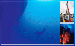 ����ĺ���ʵϰ