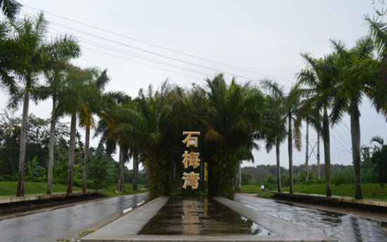 梦在海南石梅湾 非诚勿扰的美景