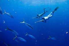 ǱˮԱ��������ˮ�½�����