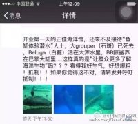 ���Ѽ��غ������磬�˺��������˼·