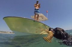 �������ﹷ����׽��Ϻ�׸�����