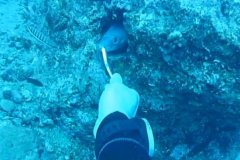 ����ǱˮԱ����һ���������� ÿ��ר����Ǳιʳ