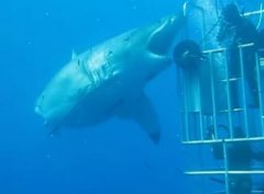 ī����ǱˮԱ��6�״����ͬ�� �ḧ������������