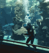 ˮ����ﱻ�������ı�����