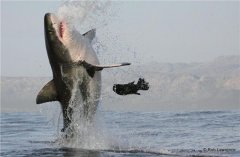 ʵ���ϷǺ������������������˲��