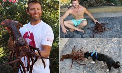 ����ǱˮԱ����70���ش�11��ľ�����Ϻ