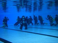 ǱˮҪ����������ѵ ��ϵ����