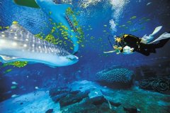 ��¡�����������ݺ��׻��� ��������֤���ˡ�