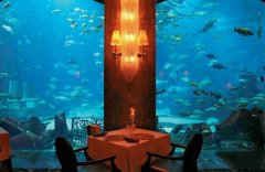 �ݻ��ϰ� ��û�ں��׵�ʢ��