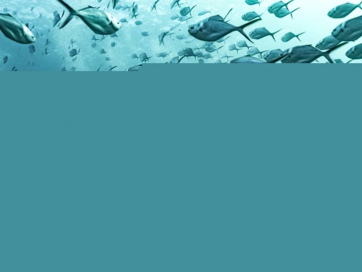 ����Ǳˮ���㲻�ò�֪����21����