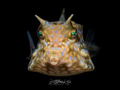 ˮ����Ӱ΢������90��