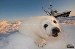 ������ҵ��ⲻ�٣����ô�Ϊ���������Է��֣�