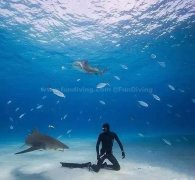 <b>Ǳˮʱ����ж�ˮ����С�ķ���</b>